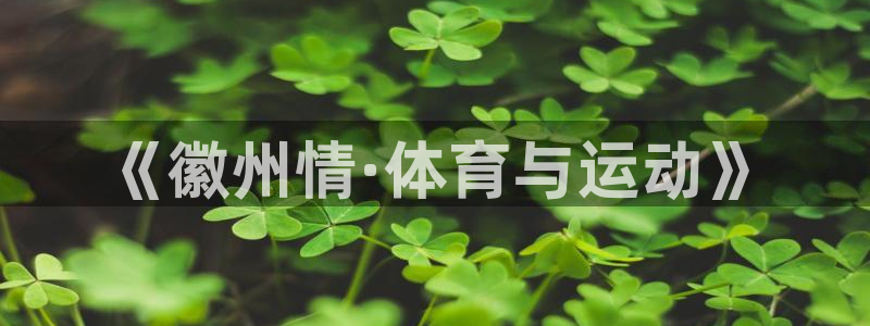 88体育会黑吗：《徽州情·体育与运动》