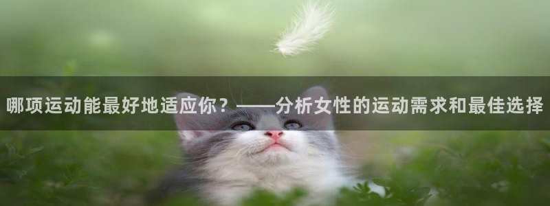88体育消费节