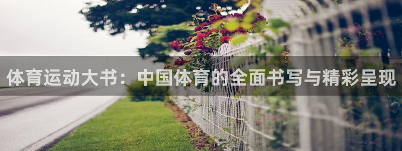 88体育会黑吗：体育运动大书：中国体育的全面书写与精彩呈现