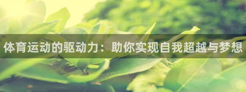 88体育app下载入口官网：体育运动的驱动力：助你实现自我超越与梦想