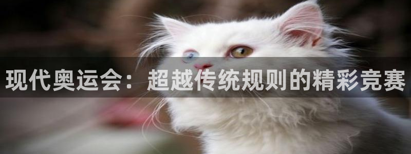 88体育网页版：现代奥运会：超越传统规则的精彩竞赛